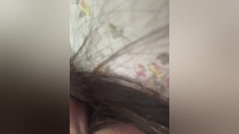 love69me free recording from 2026-04-29 00:04:00