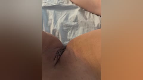 marsandvenera free recording from 2026-04-29 03:00:00