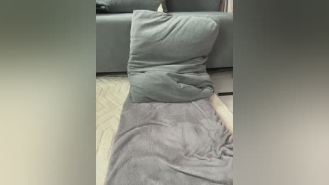 pelageyaa_a free recording from 2026-04-29 00:21:00