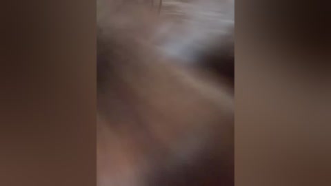 adel_chocolatee free recording from 2026-04-30 00:06:00