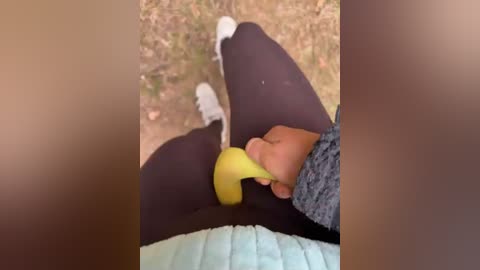 aniram2221 free recording from 2026-04-30 01:22:00