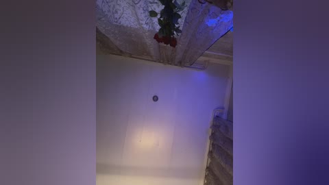 aureliyxxx free recording from 2026-04-30 00:23:00