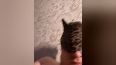 good2321 free recording from 2026-04-30 14:26:00