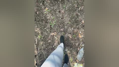 sun_moon free recording from 2026-04-30 01:22:00