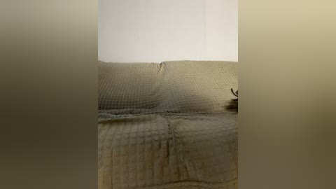 vacilonlime free recording from 2026-04-30 05:48:00