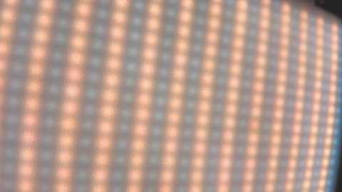 wetmafia free recording from 2026-04-30 00:06:00