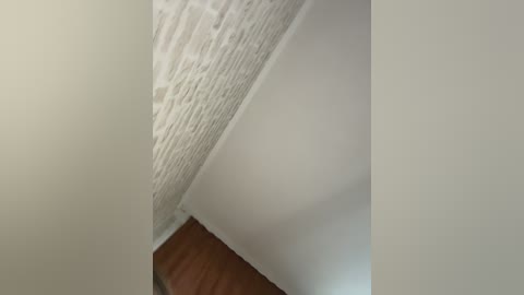 desorwss free recording from 2026-05-01 00:46:00